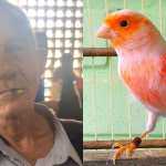 Senhor viraliza ao imitar aves e cavalo em ponto turístico de BH: ‘Igualzinho’