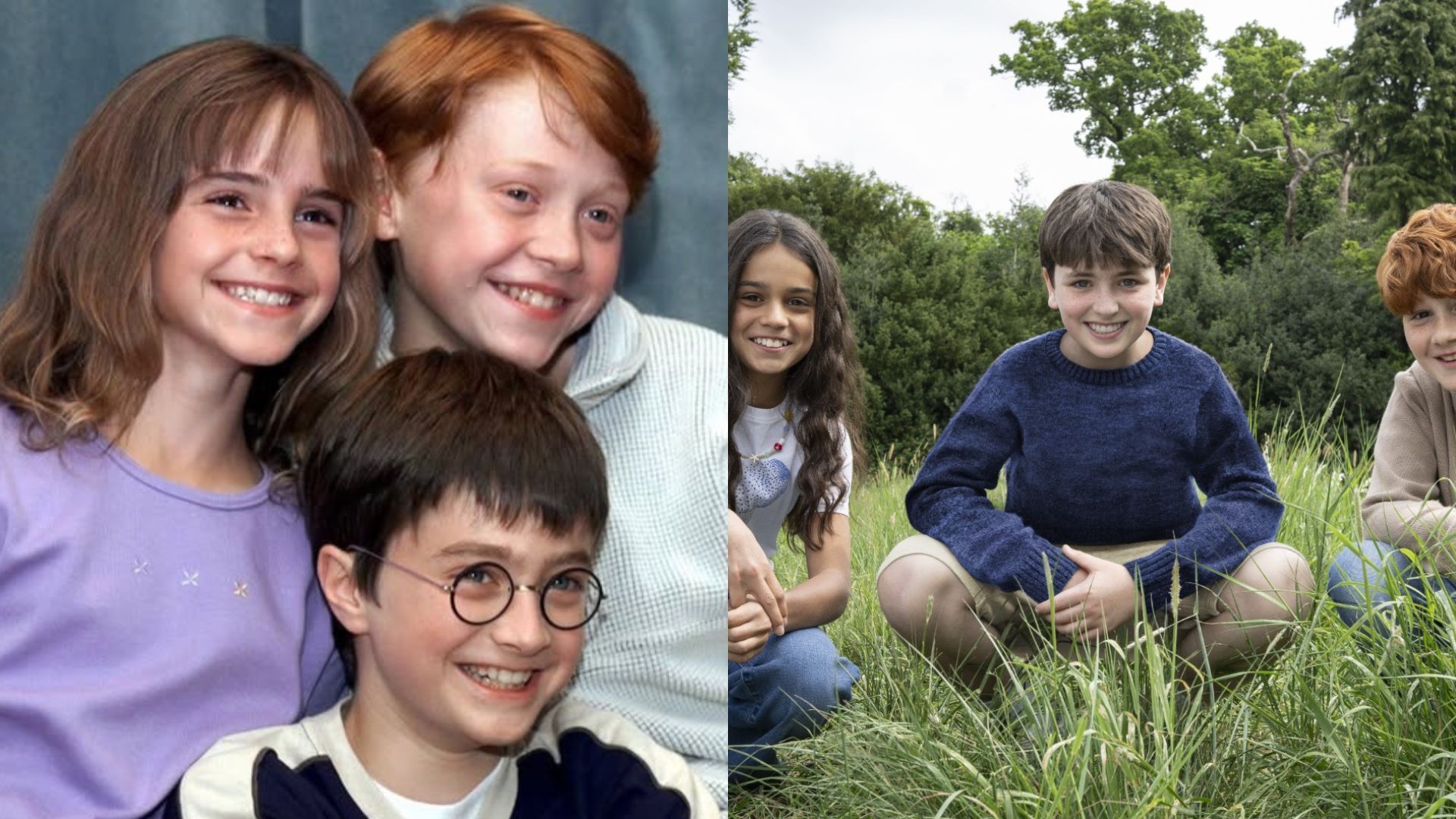 Harry Potter: compare elenco original e da série