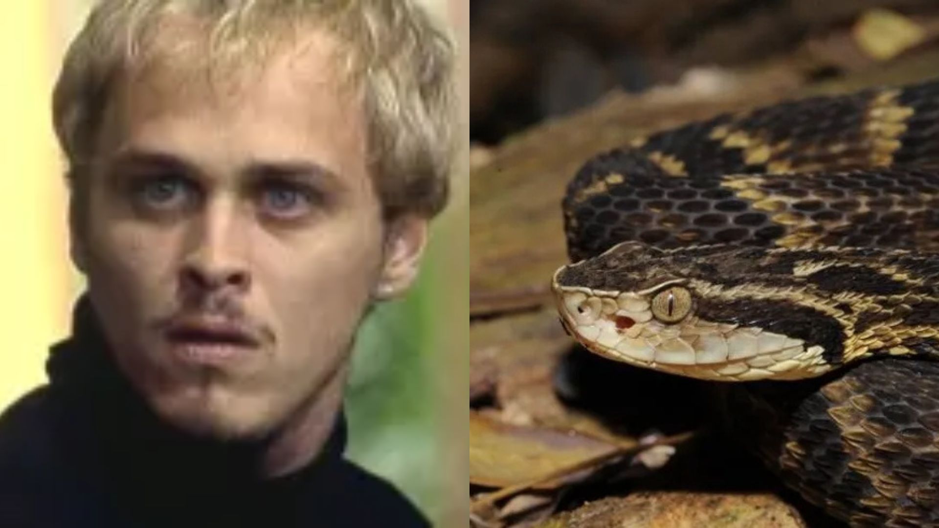 Protagonista de ‘A Viagem’ é picado por cobra e atualiza estado; veja como está o ator