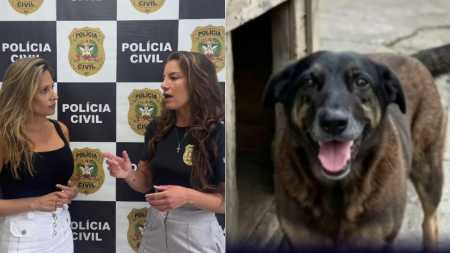 Delegada deu entrevista à ativista Luisa Mell e falou sobre o caso