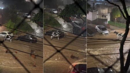 'Vaca' foi arrastada pela enchente