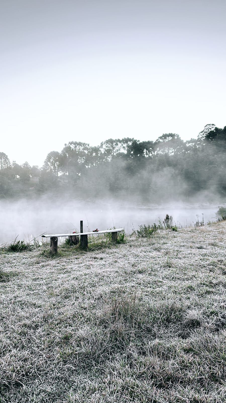 Frio extremo: cidade de Minas é a quarta mais fria do Brasil nesta segunda-feira (21); saiba qual é