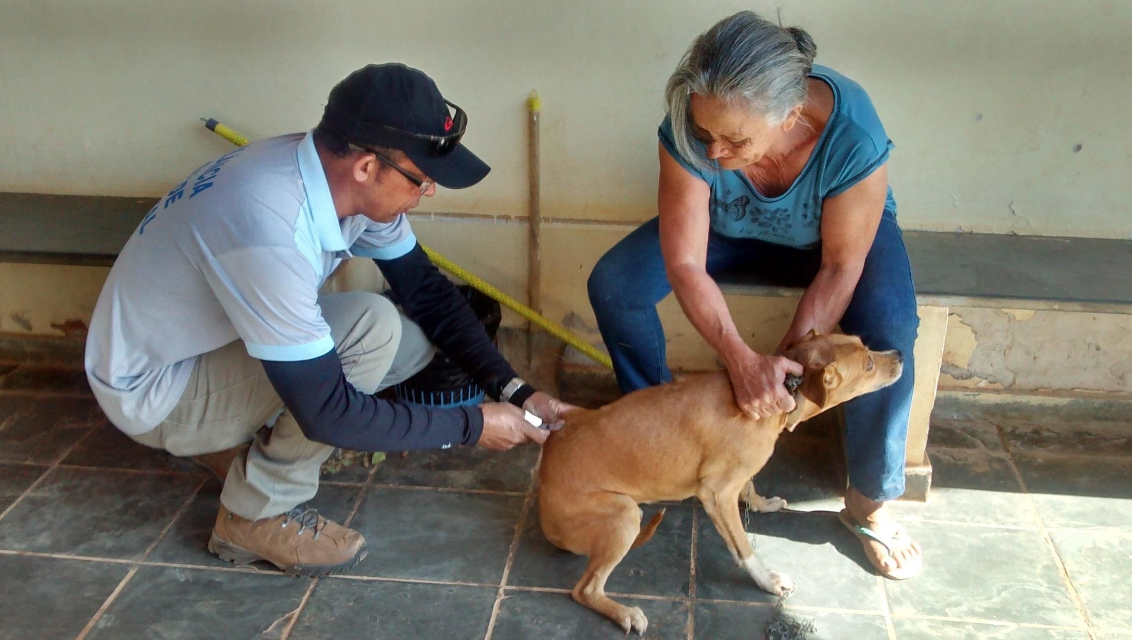 Montes Claros intensifica vacinação de cães e gatos após casos de raiva em morcegos