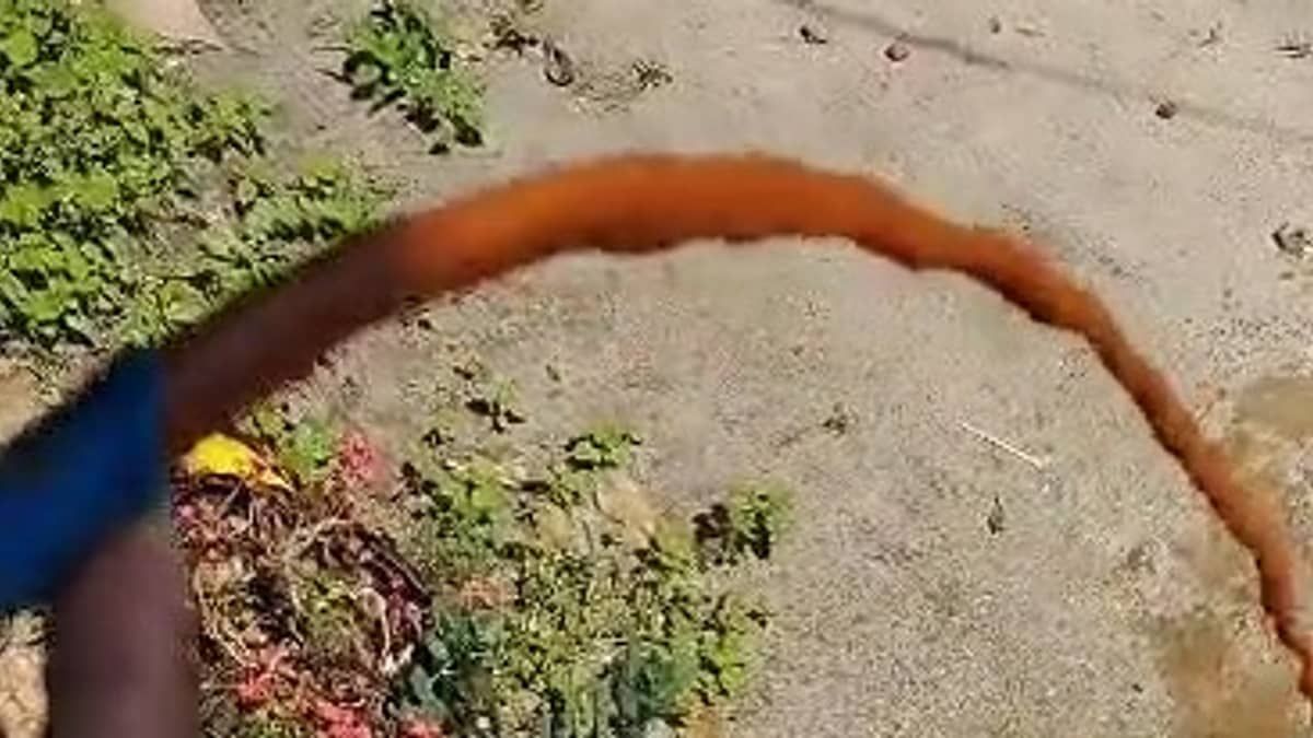 Vídeo: moradores de Milho Verde reclamam de água barrenta após um mês de torneiras secas