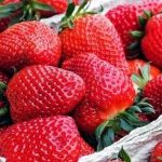 Biofilme comestível feito com casca de romã aumenta vida útil dos morangos