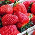 Febre do 'morango do amor' faz preço da fruta subir mais de 23% na Grande BH; bandeja chega a R$ 16,99