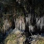 'Capital Nacional do Frio', coberta de gelo, registra a menor temperatura do ano no Brasil