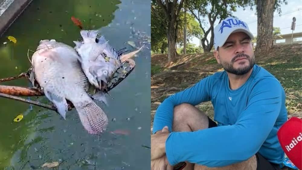 'Nunca senti um cheiro tão forte e insuportável', conta maratonista que flagrou peixes mortos na Lagoa da Pampulha 