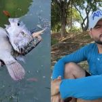 'Nunca senti um cheiro tão forte e insuportável', conta maratonista que flagrou peixes mortos na Lagoa da Pampulha 