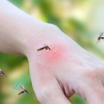 Confira os dados atualizados dos casos de dengue, zika e chikungunya na Região dos Inconfidentes 