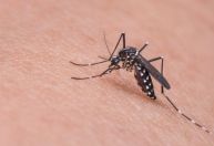 Minas Gerais tem mais de 13 mil casos confirmados de dengue em 2026