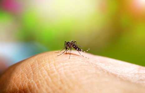 O México aprovou nesta quarta-feira o registro da vacina contra a dengue da Sanofi Pasteur, que também está com pedido de registro no Brasil.