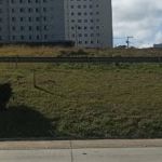 Moto atropela cavalo e fere duas pessoas em Vespasiano  