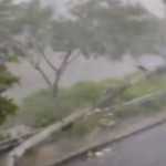 Poste cai segundos após motociclista passar durante temporal em BH