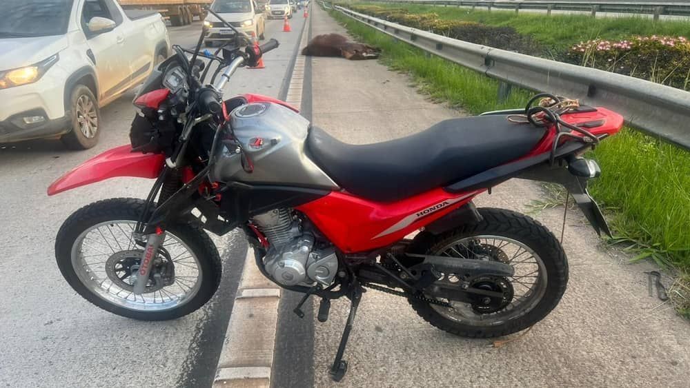 Acidente entre carreta e moto deixa cavalo e motociclista feridos na Linha Verde, em BH