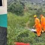 Motociclista morre após ser atacado por enxame de abelhas durante trilha em MG