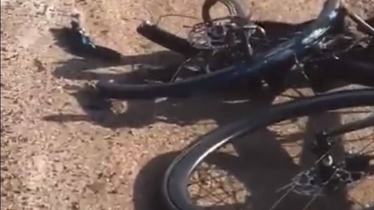 Vídeo: motorista que matou ciclista na BR-040 aparece cambaleando 