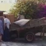 Vídeo: caminhão perde o freio, invade casa e mata uma cachorrinha em Venda Nova  