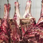 MPF aperta o cerco contra frigoríficos que contribuem com desmatamento na Amazônia  