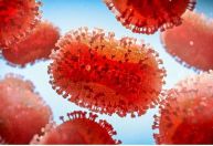 Tecovirimat: principal remédio usado para tratar mpox não é eficaz, aponta estudo