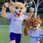 Cruzeiro suspende mudança do Raposão e anuncia criação de comitê de torcedores