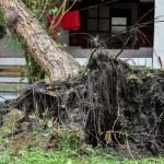 Especialista explica influência da ação humana nos extremos climáticos