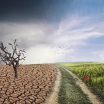 Presidente da COP28 pede financiamento climático para países em desenvolvimento