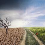 Presidente da COP28 pede financiamento climático para países em desenvolvimento