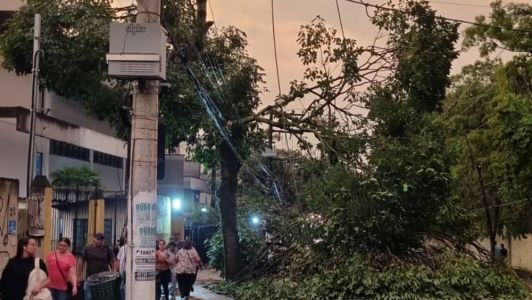 Muitas árvores caíram sobre a fiação da rede elétrica em São Paulo