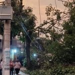 Grande SP tem 500 mil imóveis sem energia elétrica há 3 dias, diz Enel 