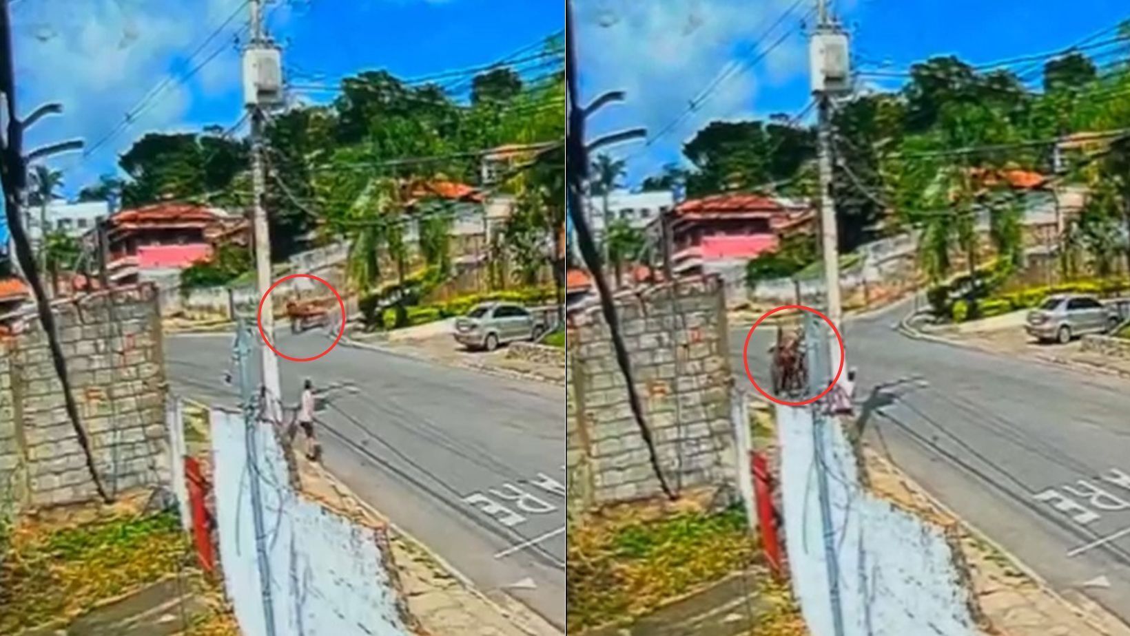 Vídeo: mula desgovernada atinge poste e quase atropela pedestre em Jaboticatubas
