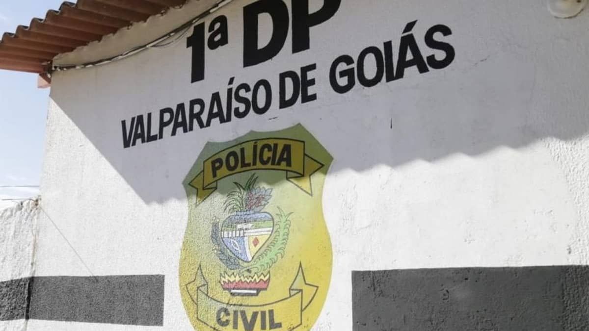 Mulher finge pedir cesta básica e denuncia agressões do marido em Goiás 