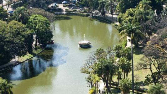 Mulher foi detida pela Guarda Municipal