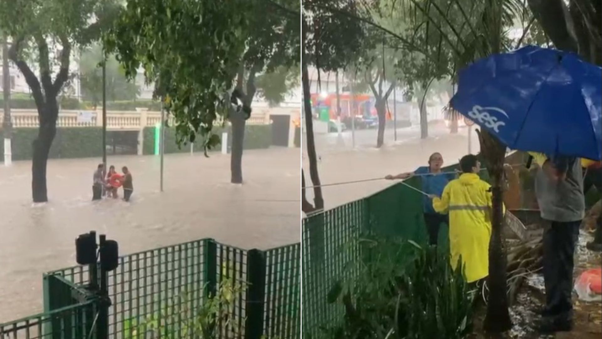 Vídeo: mulher ilhada em enxurrada é socorrida por bombeiros em São Paulo