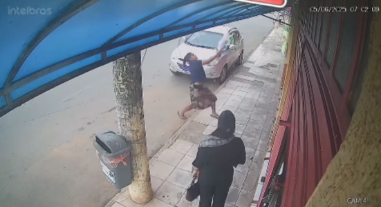 Mulher salva cachorro de queda no Distrito Federal (DF)