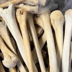 Ex-trabalhadora funerária é indiciada por vender ossos roubados para homem que conheceu no Facebook