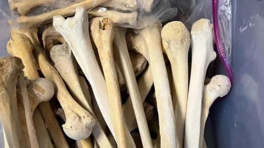 Mulher se declarou inocente de 12 acusações