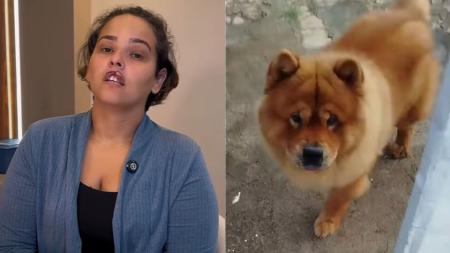Natani Santos foi mordida pelo próprio cachorro e passou por primeira cirurgia de reconstrução do lábio.