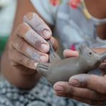 Cultura: riqueza do Vale do Jequitinhonha