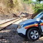 Mulher trans morre após ser atingida por trem na Grande BH e moradores encontram partes do corpo