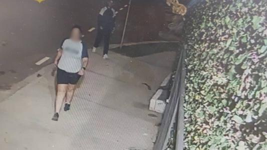 Mulheres eram atacadas no Parque Cidade Toronto, em Pirituba, na Zona Norte da capital paulista