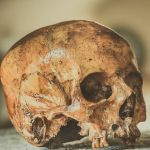 Mulheres invadem cemitério e são presas com crânios humanos 