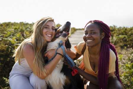 Ações discutem a guarda compartilhada de cães e gatos e decisões judiciais têm considerado o bem-estar do animal e os vínculos afetivos criados