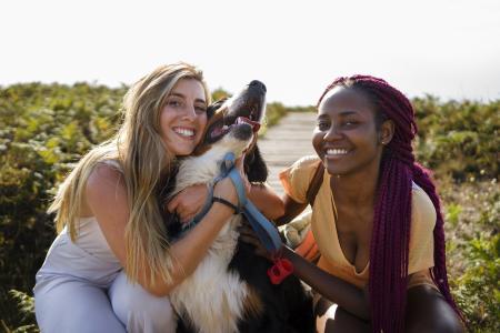 Ações discutem a guarda compartilhada de cães e gatos e decisões judiciais têm considerado o bem-estar do animal e os vínculos afetivos criados