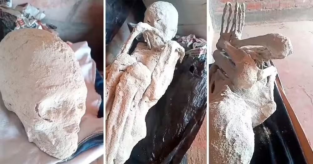 Homens encontram mais 'múmias alienígenas' no Peru