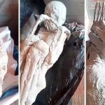 Homens encontram mais 'múmias alienígenas' no Peru