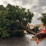 Idosos ficam ilhados durante temporal em Araguari  