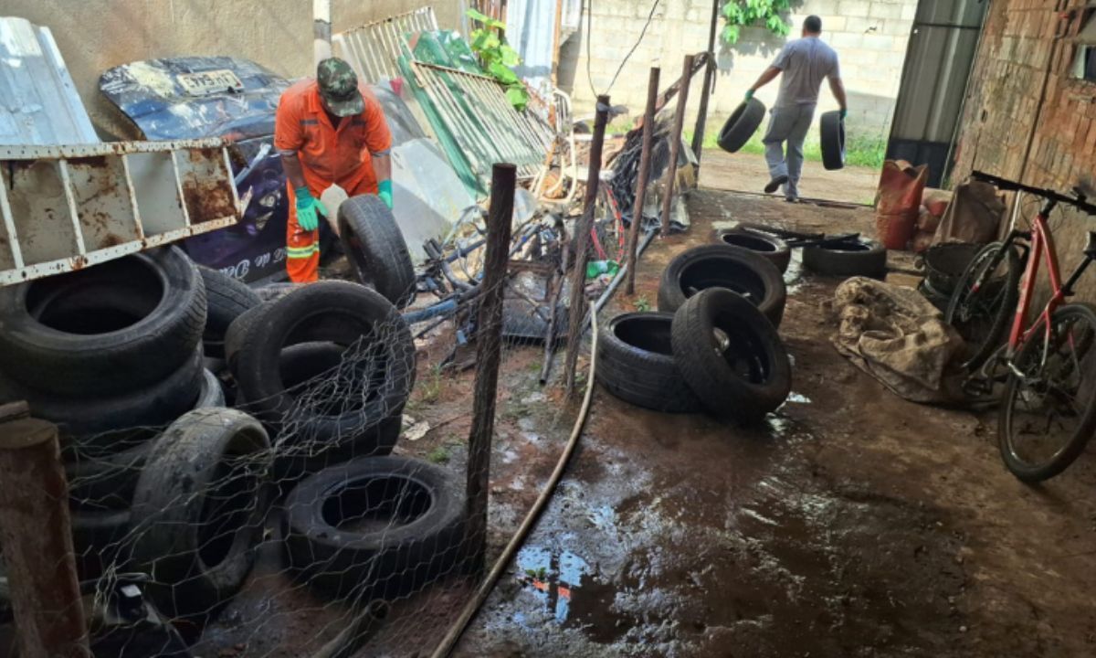 Mutirão contra Aedes aegypti será na Cidade Alta em Juiz de Fora