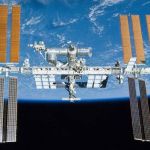 Ratos podem crescer no espaço? Estudo japonês diz que sim 