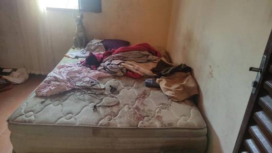 Na foto, animal de estimação na cama do casal